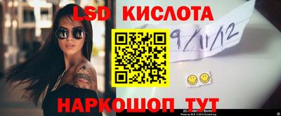 шишки Будённовск