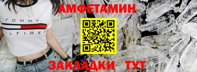 шишки Будённовск