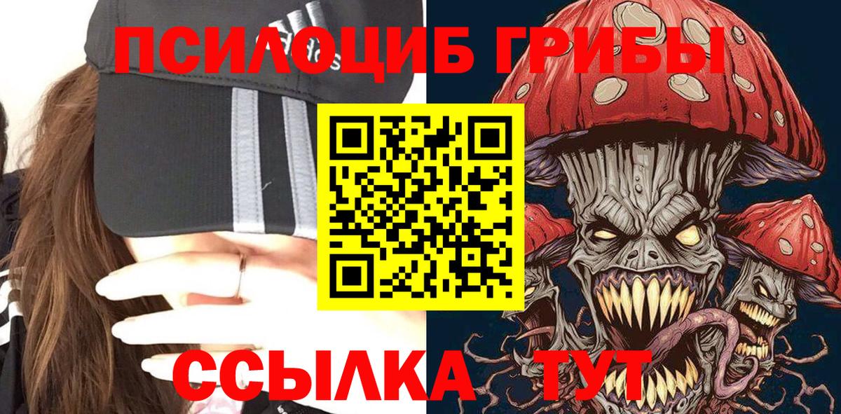 Галлюциногенные грибы Psilocybine cubensis Нурлат