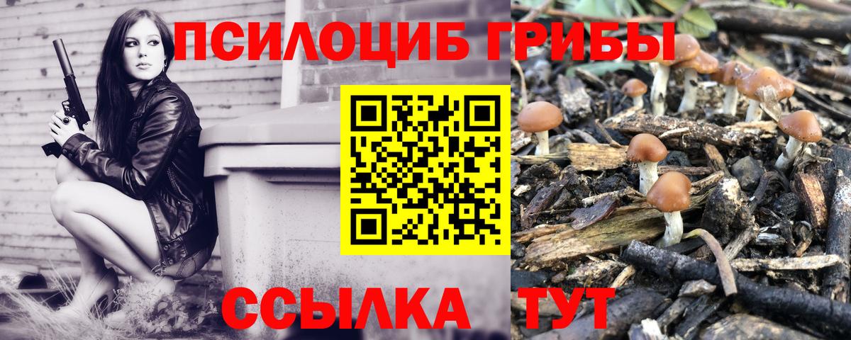 Галлюциногенные грибы Psilocybine cubensis  Псилоцибиновые грибы мицелий  Вход с VPN  Нурлат 